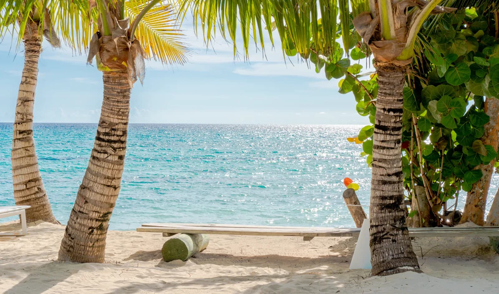 Aurora Dominicus - entorno natural