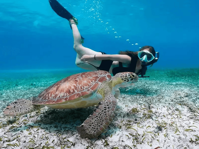 Snorkeling nelle acque di Bayahibe vicino a Dominicus.